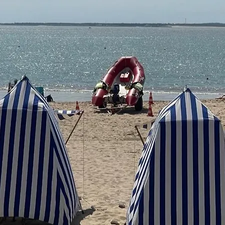 Apartament T2 Avec Terrasse Proche De La De Dans Le Quartier Du Parc